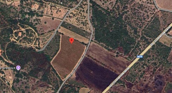 terreno agricolo in vendita a Muravera