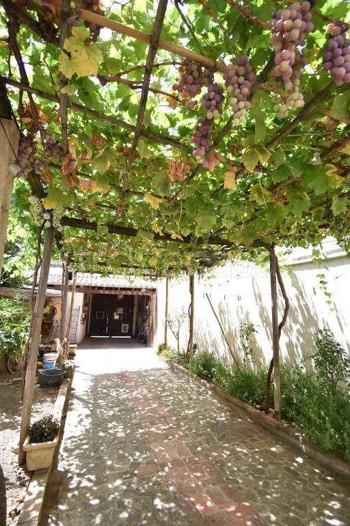 casa indipendente in vendita a Musei