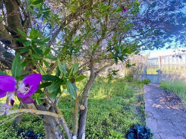 casa indipendente in vendita a Narcao