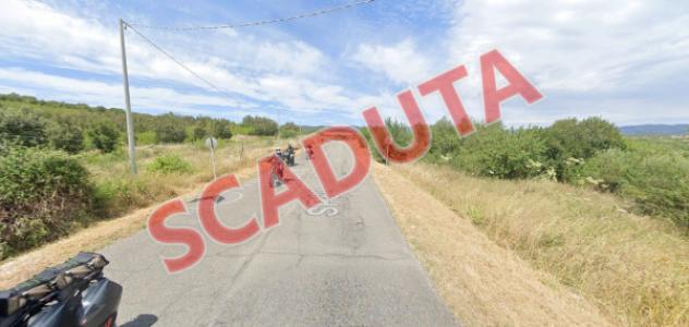 immagine annuncio 0 di 1