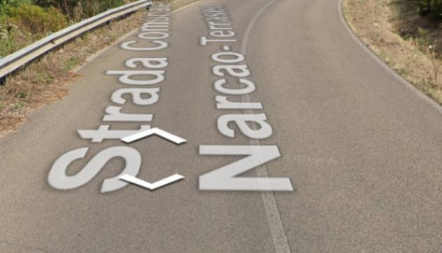 terreno agricolo in vendita a Narcao in zona Terraseo