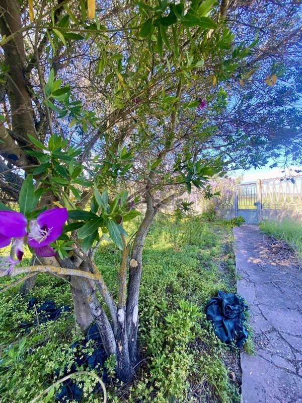 casa indipendente in vendita a Narcao