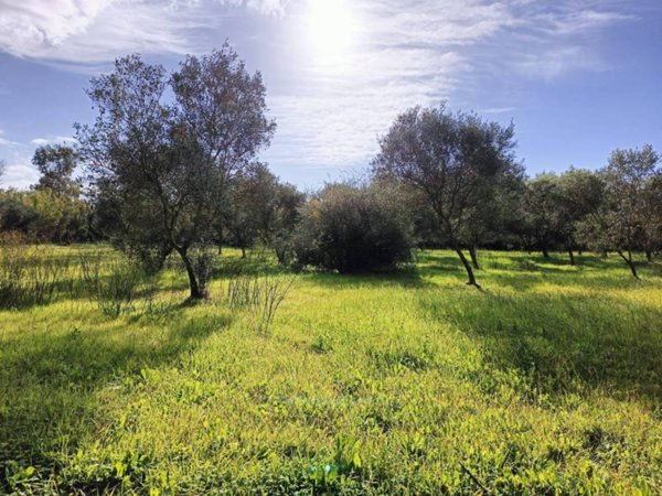 casa indipendente in vendita a Nuraminis