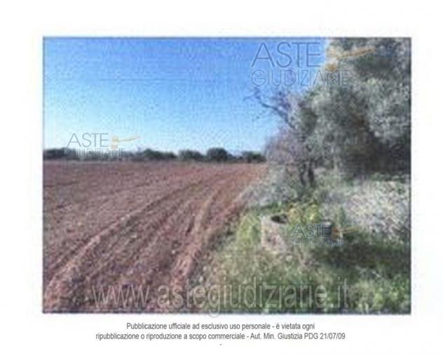 terreno agricolo in vendita a Nuraminis