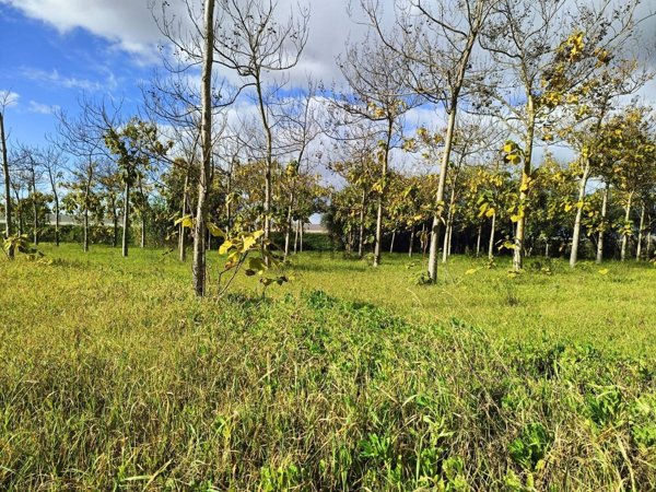 casa indipendente in vendita a Nuraminis in zona Villagreca