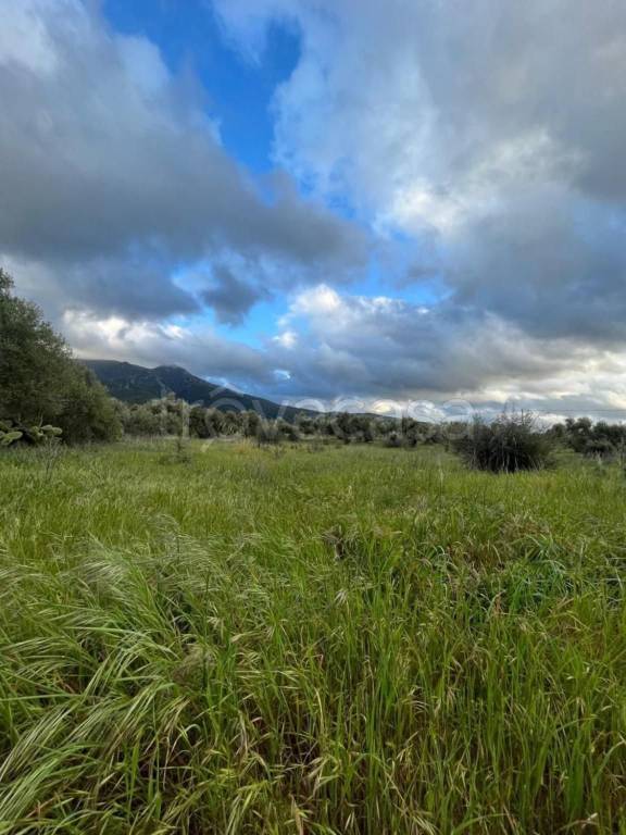 terreno agricolo in vendita a Nuxis