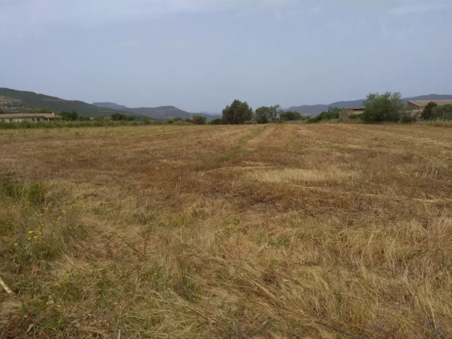 terreno edificabile in vendita a Nuxis