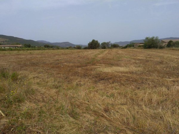 terreno edificabile in vendita a Nuxis