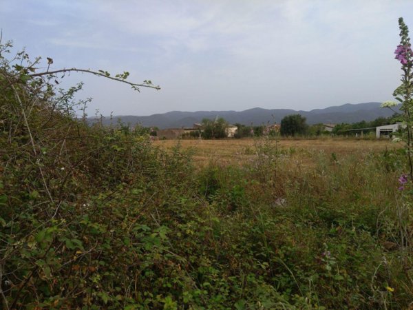 terreno edificabile in vendita a Nuxis