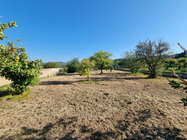 casa indipendente in vendita a Nuxis