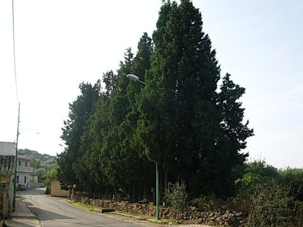 villa in vendita a Nuxis