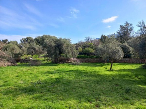 terreno edificabile in vendita a Nuxis