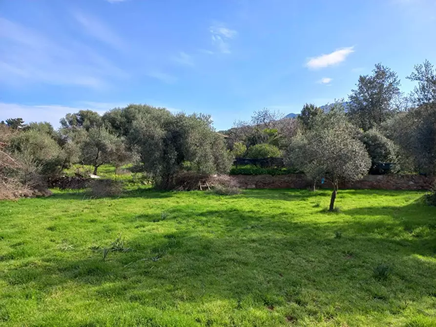 terreno edificabile in vendita a Nuxis