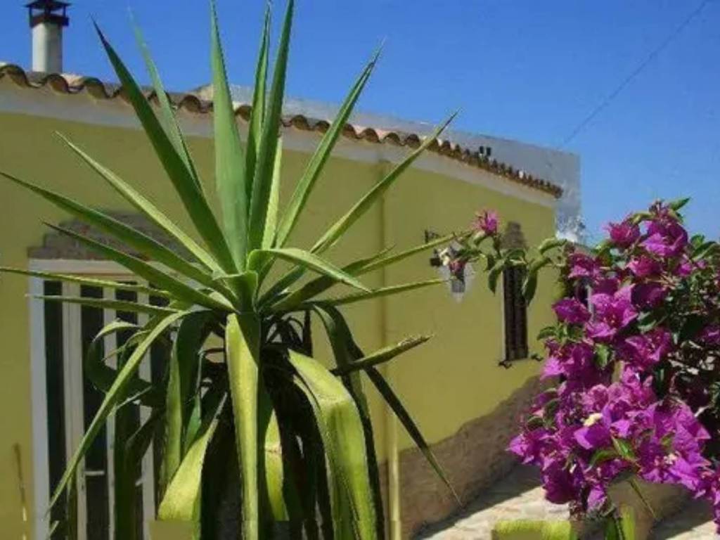 casa indipendente in vendita a Piscinas