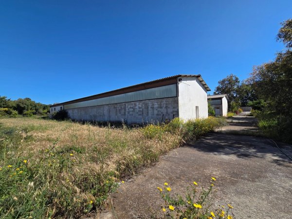 terreno agricolo in vendita a Portoscuso