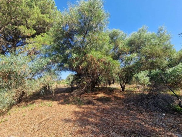 terreno agricolo in vendita a Portoscuso