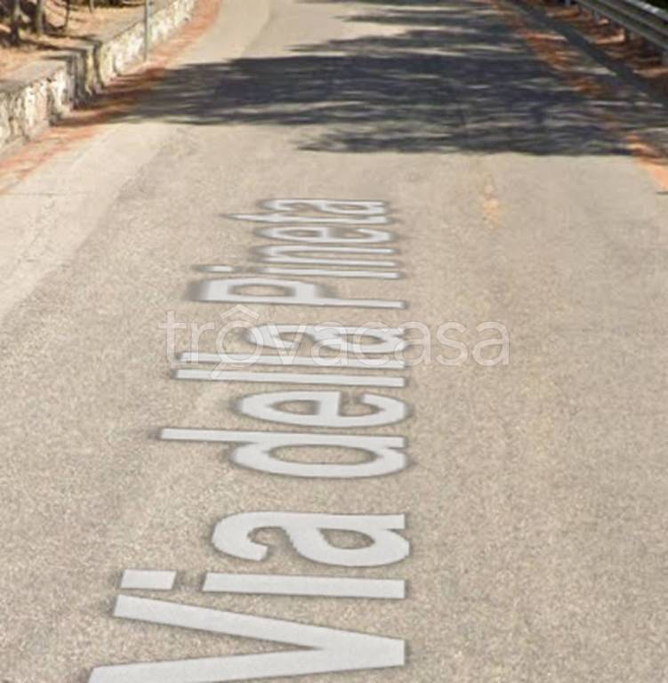 locale commerciale in vendita a San Basilio