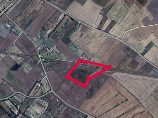 terreno agricolo in vendita a San Gavino Monreale