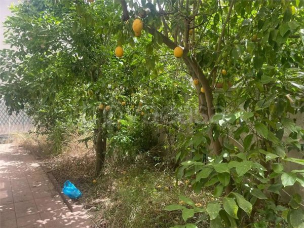 casa indipendente in vendita a San Gavino Monreale