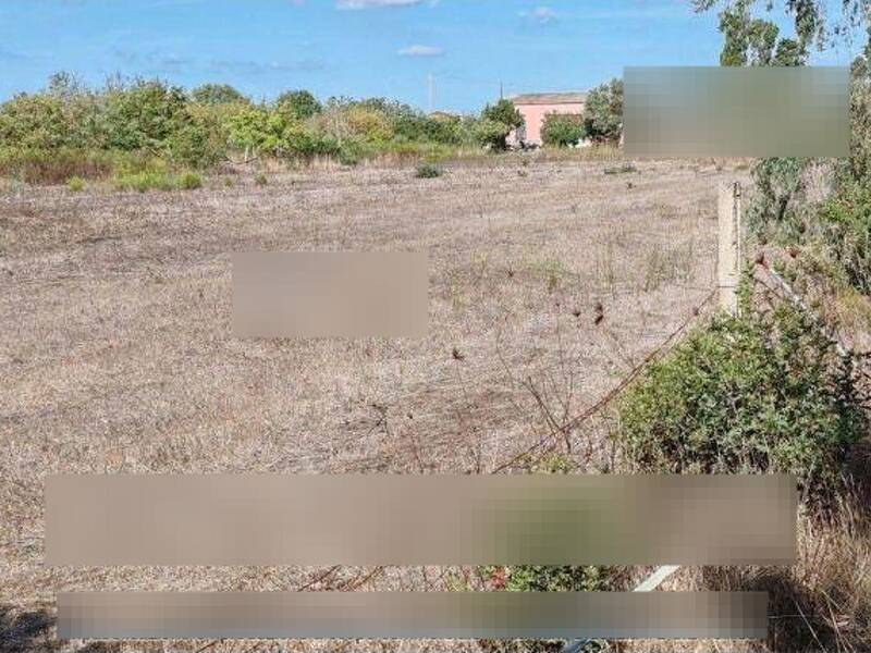 terreno agricolo in vendita a San Gavino Monreale