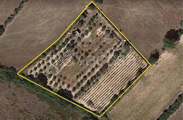terreno agricolo in vendita a San Giovanni Suergiu in zona Is Loccis