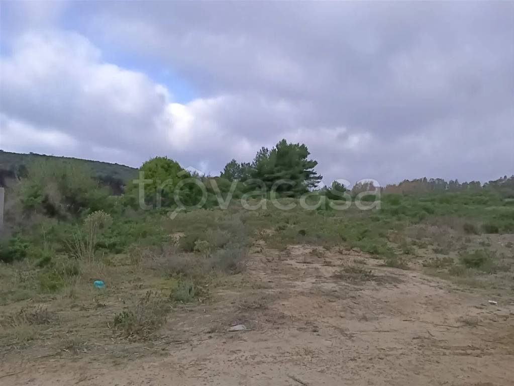 terreno agricolo in vendita a San Giovanni Suergiu in zona Matzaccara