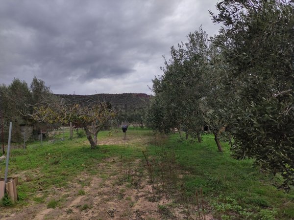 casa indipendente in vendita a San Giovanni Suergiu in zona Is Urigus