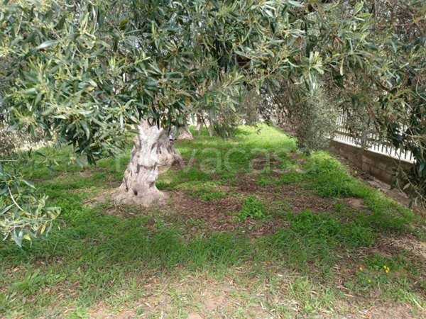 terreno agricolo in vendita a San Giovanni Suergiu in zona Is Urigus