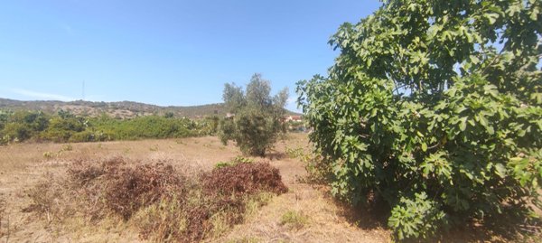 terreno edificabile in vendita a San Giovanni Suergiu in zona Is Urigus