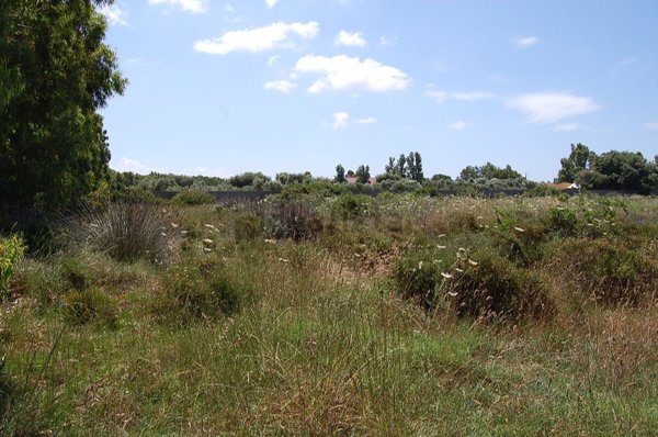 terreno agricolo in vendita a San Giovanni Suergiu in zona Matzaccara