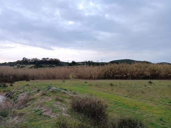 terreno agricolo in vendita a San Giovanni Suergiu in zona Matzaccara
