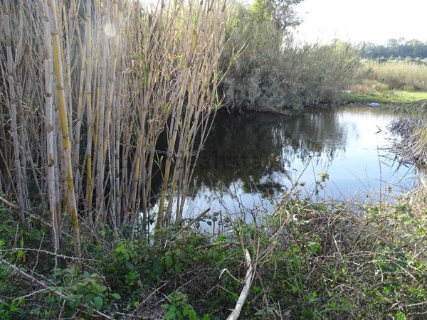terreno agricolo in vendita a San Giovanni Suergiu in zona Matzaccara