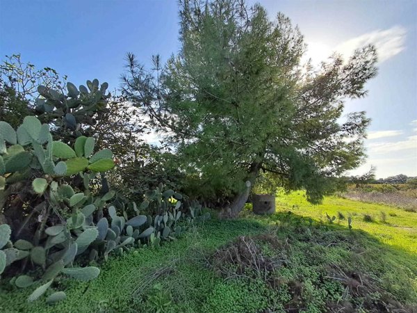 terreno agricolo in vendita a San Giovanni Suergiu in zona Is Urigus