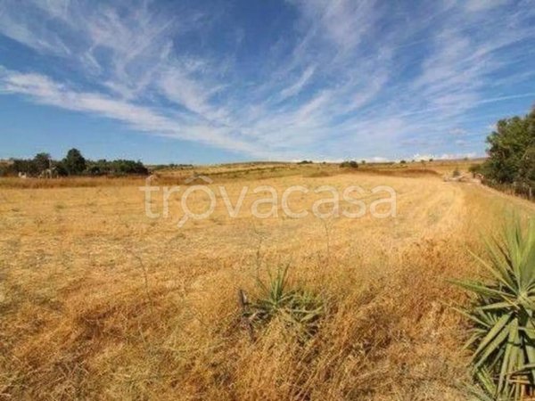 terreno agricolo in vendita a San Nicolò Gerrei