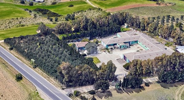 esavano in vendita a San Nicolò Gerrei