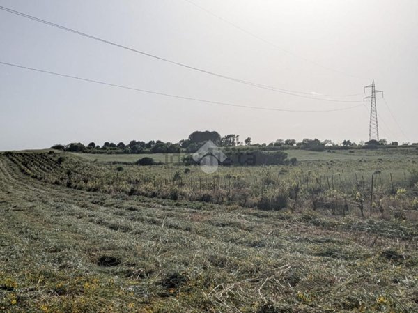 terreno agricolo in vendita a San Nicolò Gerrei