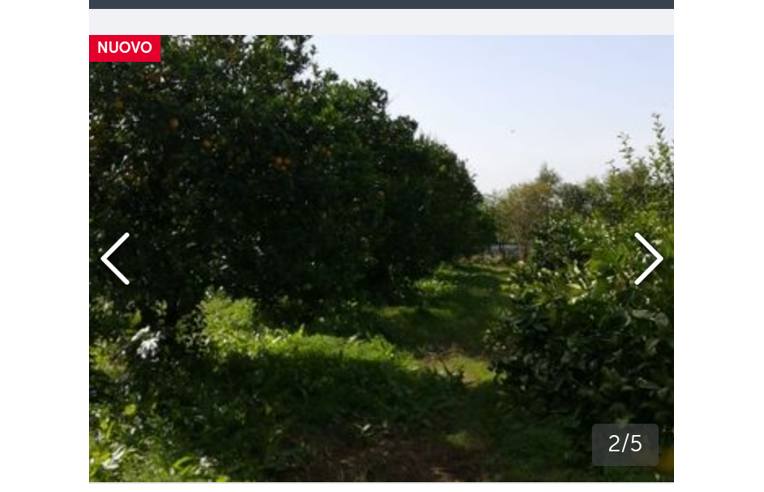 terreno agricolo in vendita a San Sperate