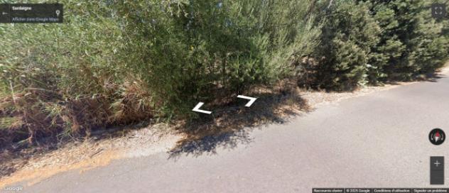 terreno agricolo in vendita a San Sperate