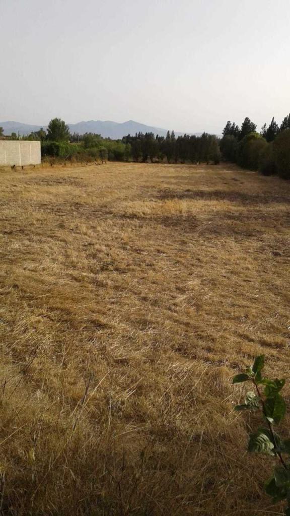 terreno agricolo in vendita a San Sperate