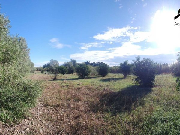terreno agricolo in vendita a San Sperate