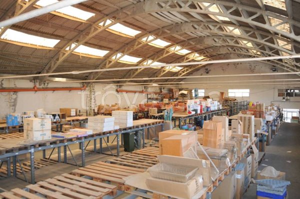 immagine annuncio 0 di 12