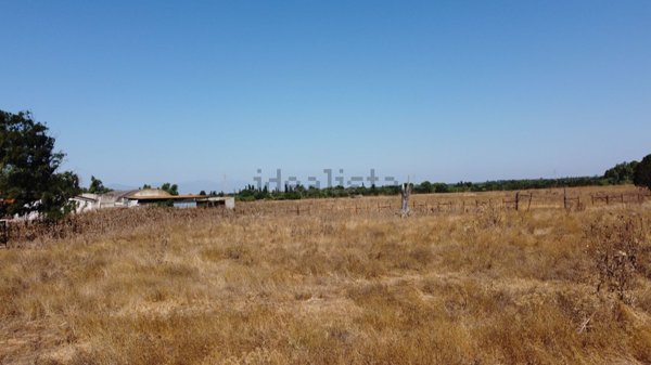 terreno agricolo in vendita a San Sperate