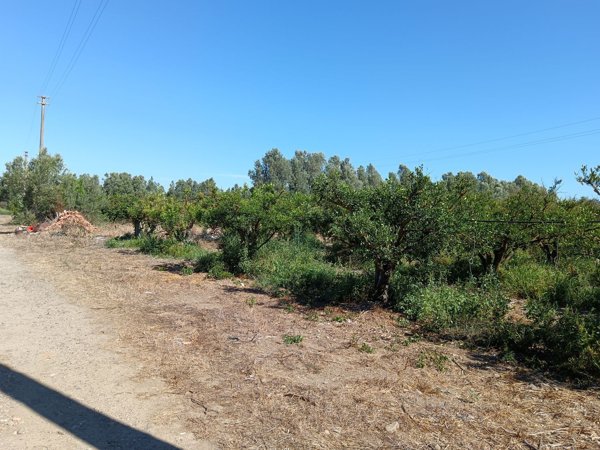 terreno agricolo in vendita a San Sperate