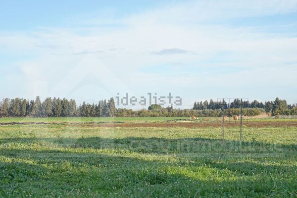 casa indipendente in vendita a San Sperate