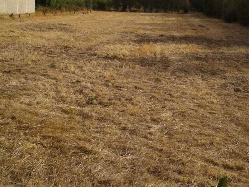 terreno edificabile in vendita a San Sperate