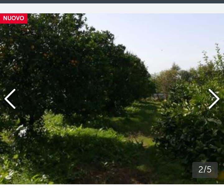terreno agricolo in vendita a San Sperate