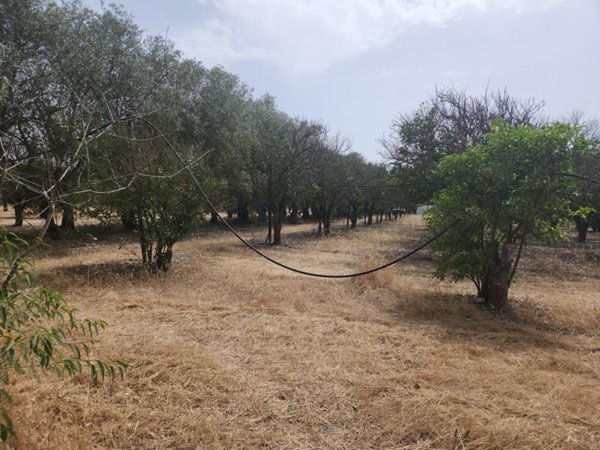 terreno agricolo in vendita a San Sperate