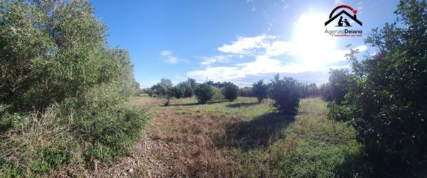 terreno edificabile in vendita a San Sperate