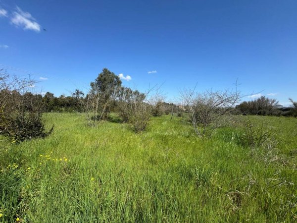 terreno edificabile in vendita a San Sperate