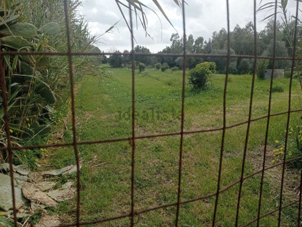 terreno agricolo in vendita a San Sperate